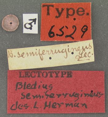 Media type: image;   Entomology 6529 Aspect: labels